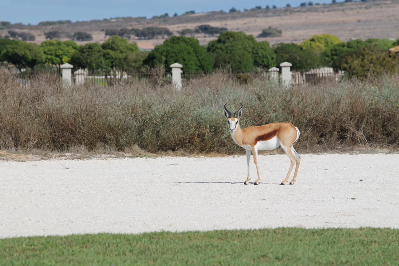 Langebaan Country Estate Apartman Kültér fotó